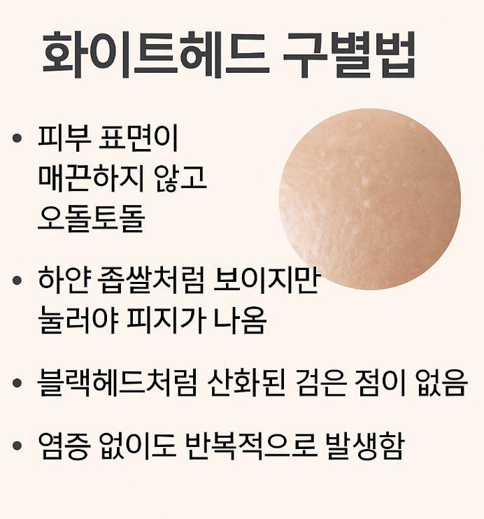 화이트헤드 구별법